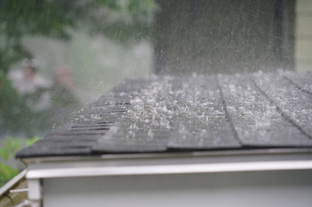 Best Solar Panel Roofing Installation  in Clarendon Hls, IL