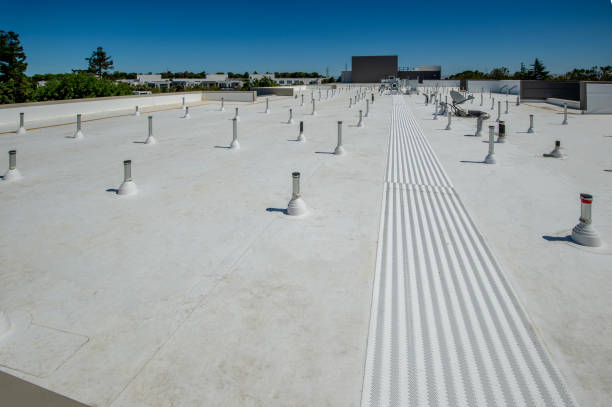 Best Asphalt Shingles Roofing  in Clarendon Hls, IL